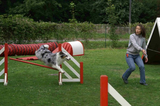 agility 2011-07-24